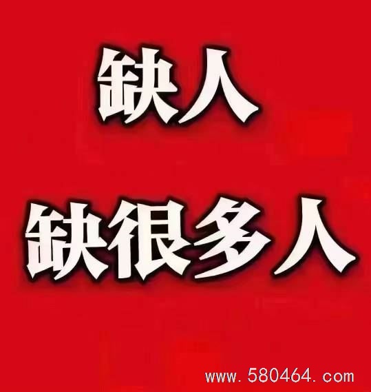 长期招聘销售员