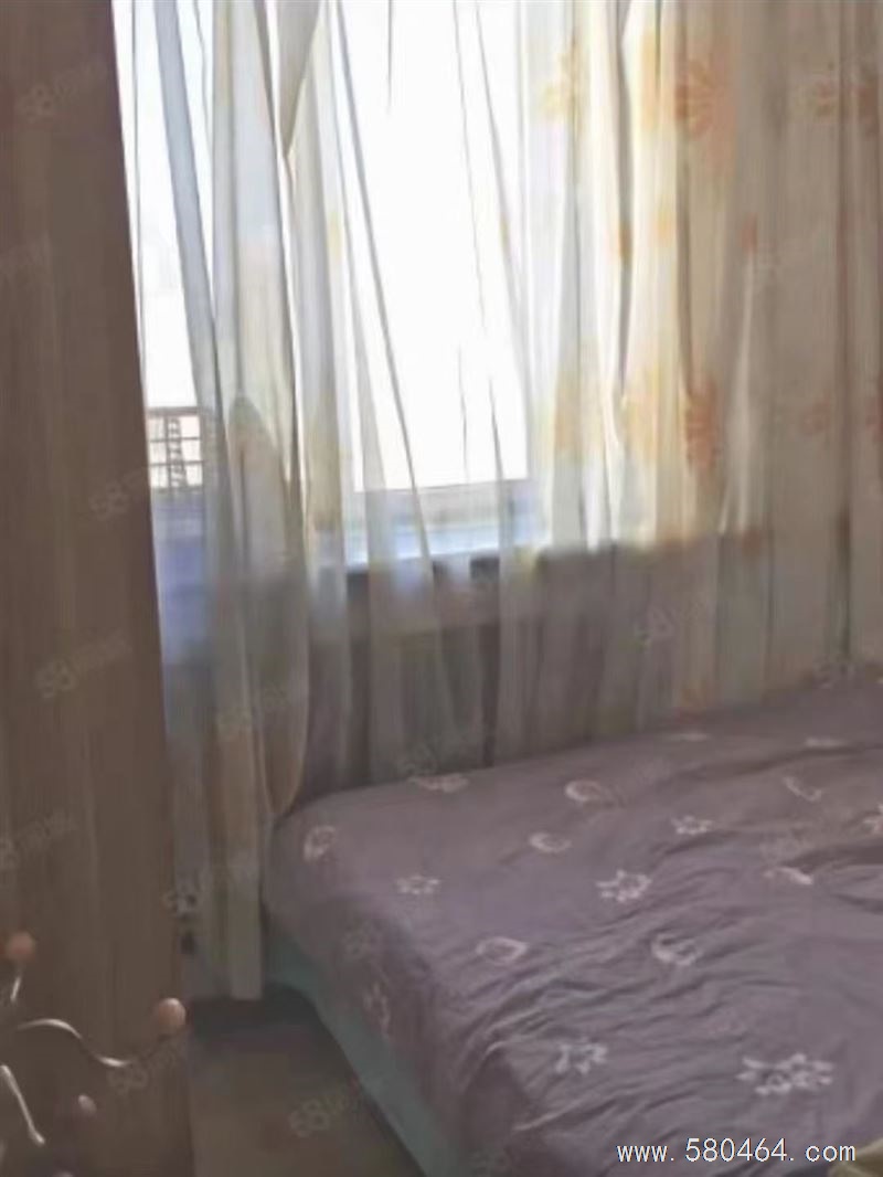 九中九小学区房